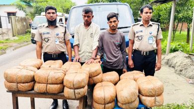 গাজীপুরে ৪৮ কেজি গাঁজাসহ দুই মাদক কারবারি গ্রেফতার