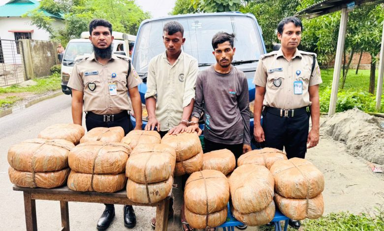 গাজীপুরে ৪৮ কেজি গাঁজাসহ দুই মাদক কারবারি গ্রেফতার